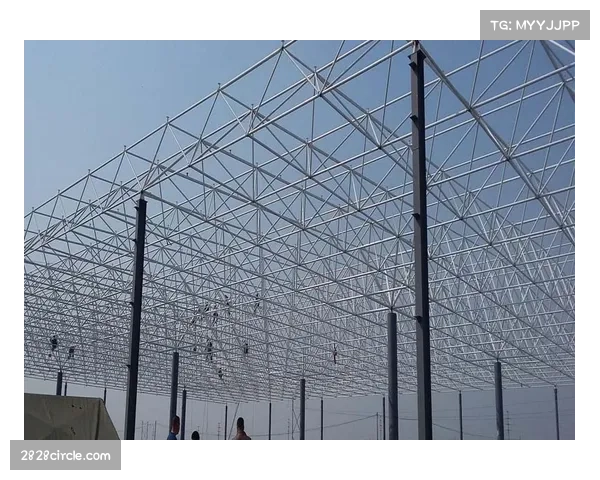 分布式天线系统助力室内场馆解决钢结构遮挡提升体育赛事通信质量